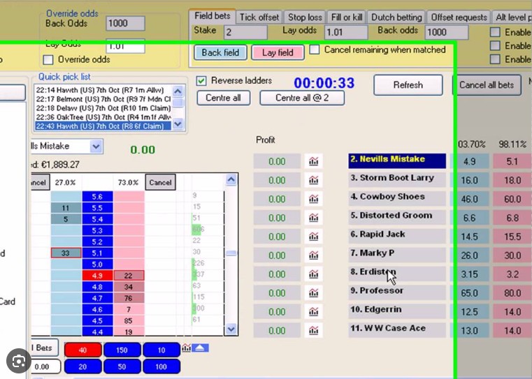 Gruss Betting Assistant interface